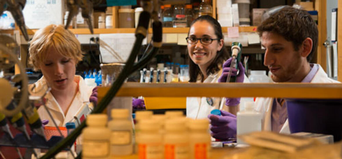 Students of Dyann Wirth in the Integrated Life Lab