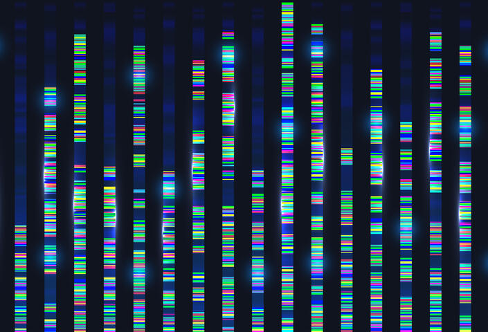 genome DNA sequence
