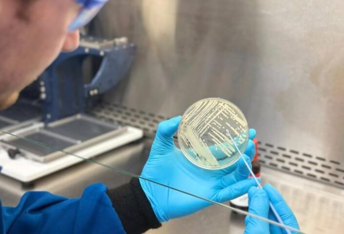 Kinvard Bio co-founder Ben Tresco inspects a colony of drug-resistant bacteria.
