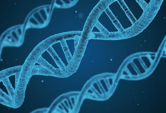 DNA string of biology science and technology