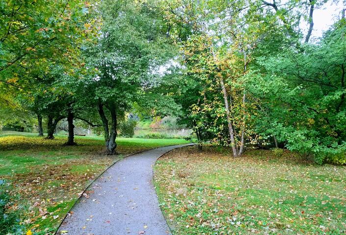 path leading to Hall's Pond