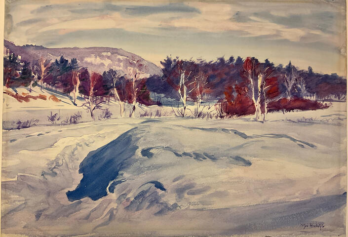 winter landscape scene, with snowy foreground and trees in background