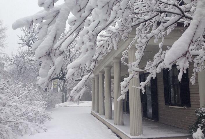snow-covered Harvard campus, with tree heavy with snow