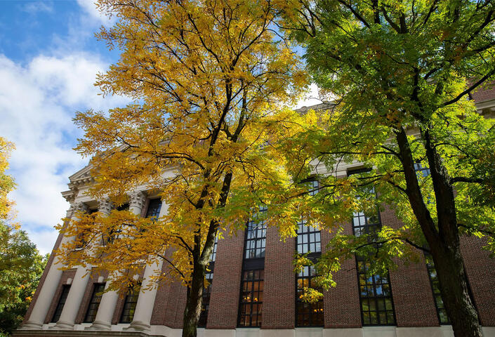 fall foliage in front of Harvard building