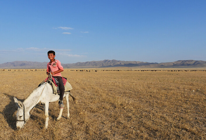 Child riding a donkey
