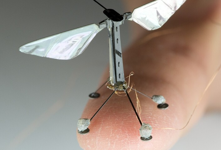 Robobee