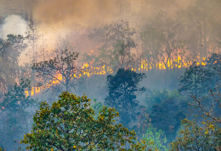 Amazon basin in clouds of smoke