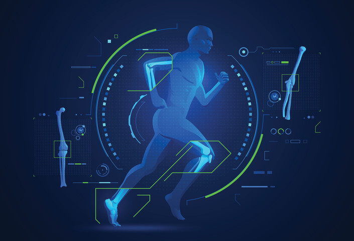 Illustration of muscles on human body