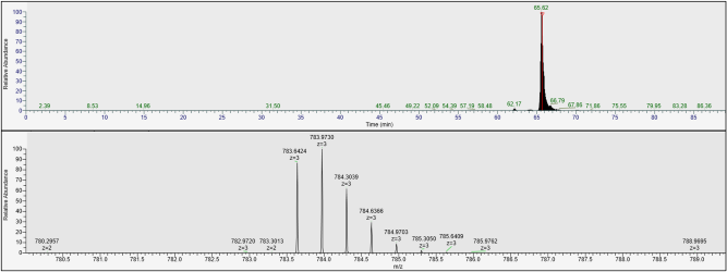 Data image of a chromatogram (top) and mass spectrum (bottom).