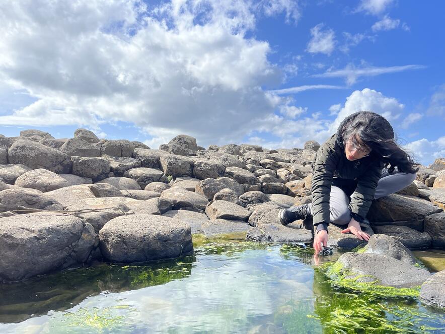 Cheng recording underwater footage