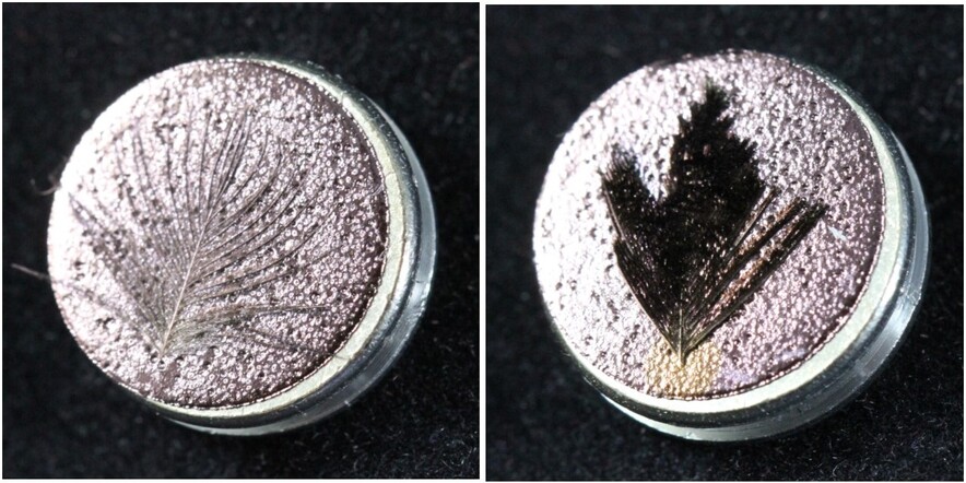 Feathers side-by-side, the left one appears shiny gold and the right appears matte black.