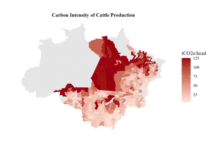 Carbon intensity of cattle production chart