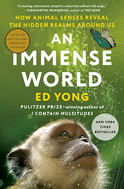 An Immense World book cover