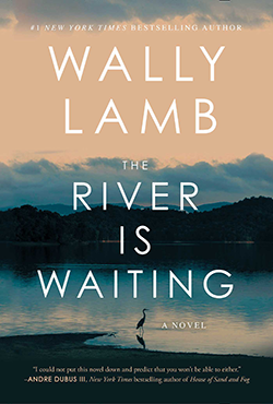 The River is Waiting book cover
