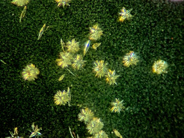 Crystals of an RNA precursor on a magnetic surface