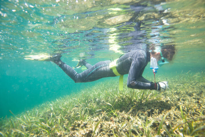 Woman snorkeling