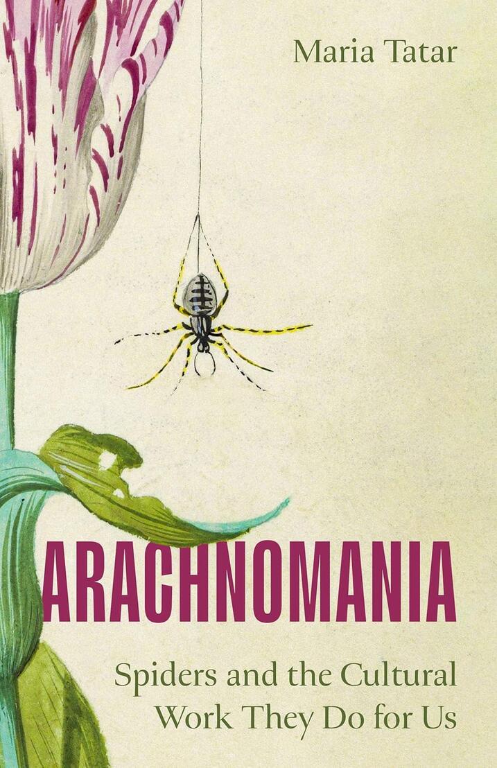 cover of book Arachnomania, with spider hanging down from its web