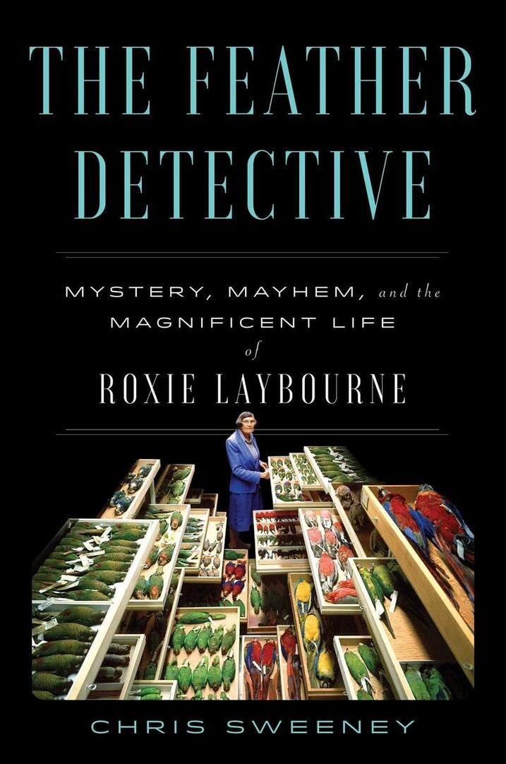 cover for book, Feather Detective, showing drawers with various bird species preserved