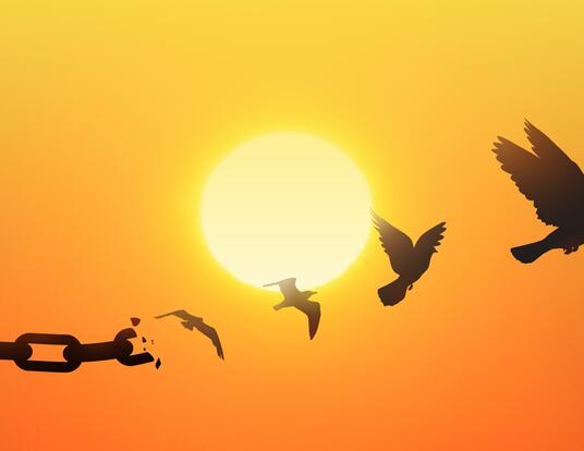 Birds breaking free from chains; yellow and orange sunset