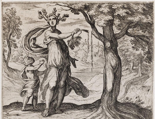etching of Dryope transforming into a lotus tree, from Ovid's Metamorphoses