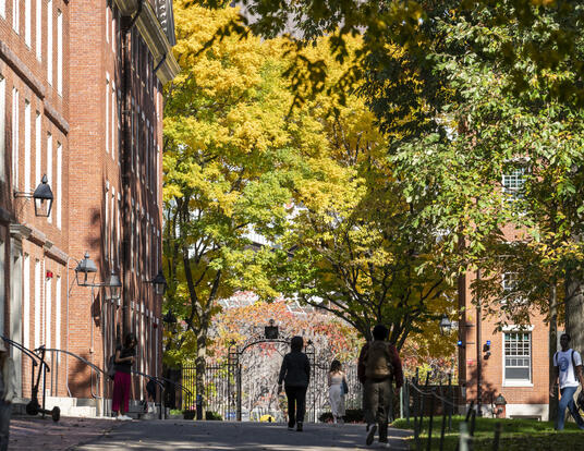 Harvard Yard in fall