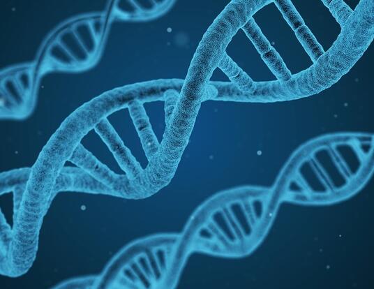 DNA string of biology science and technology