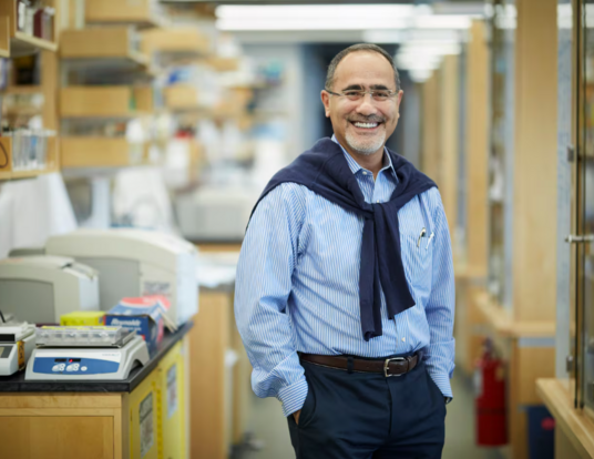 Gökhan Hotamisligil is a professor of genetics and metabolism at the Harvard T.H. Chan School of Public Health. 