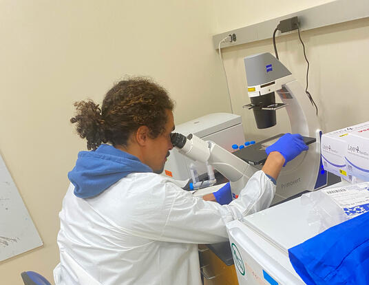 Gabriel quantifying virus using our microscope