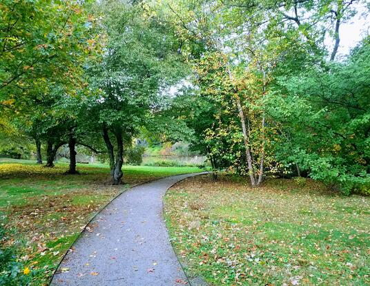 path leading to Hall's Pond