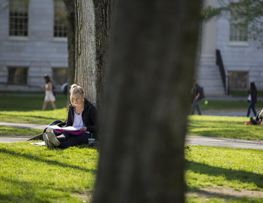 girl sitting against tree in Harvard Yard looking at book
