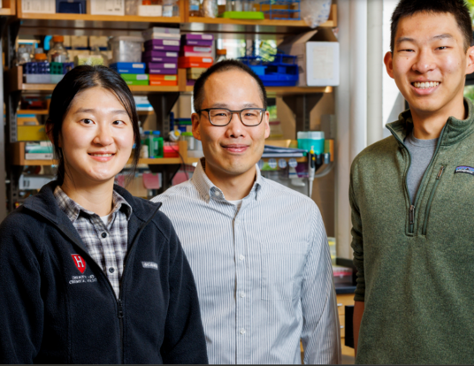 Heejin Roh (left), Brian Liau, and Simon Shen