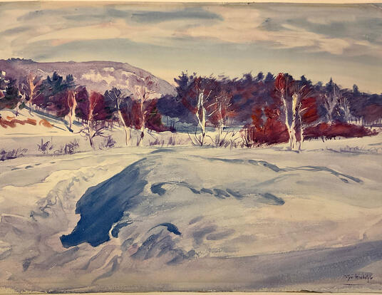 winter landscape scene, with snowy foreground and trees in background