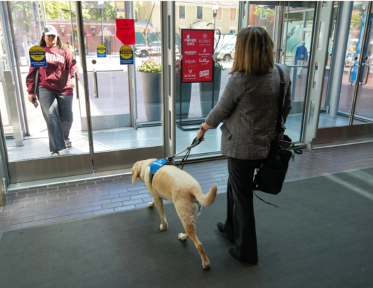 Woman being led through glass doors by a service dog.