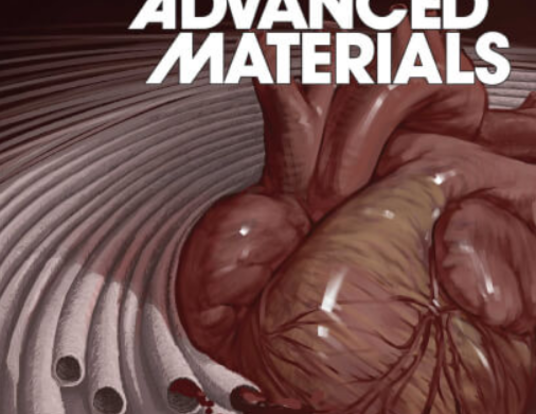 Cover of Advanced Materials magazine showing an illustration of custom blood vessels.