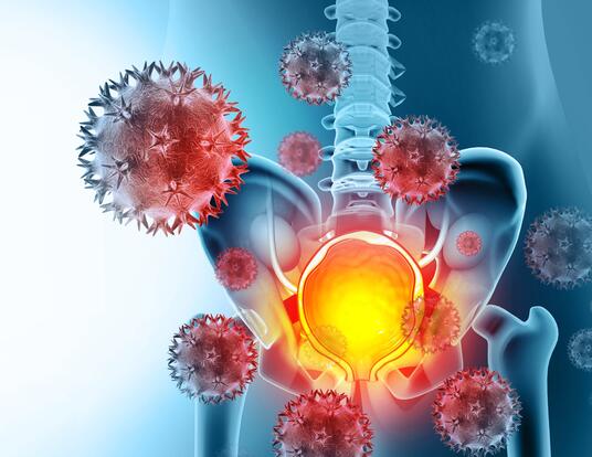 3d illustration of prostate cancer cells