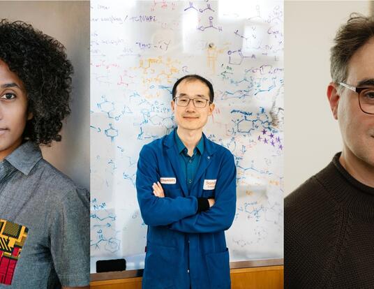 2026 MacArthur Fellows Ellora Derenencourt, Song Lin, and Vincenzo Vitelli