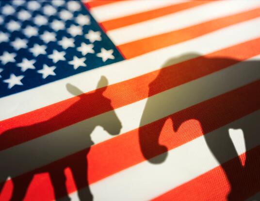 donkey and elephant shadow over the United States of America flag