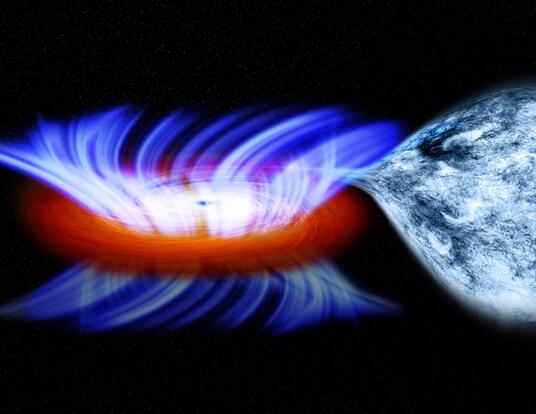 Black hole mass from NASA