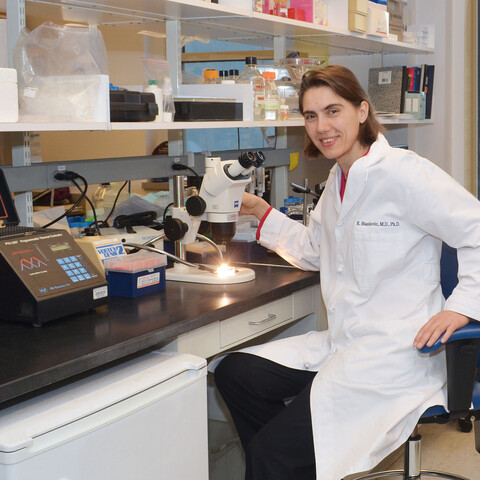 Dr. Stankovic sitting at desk in lab