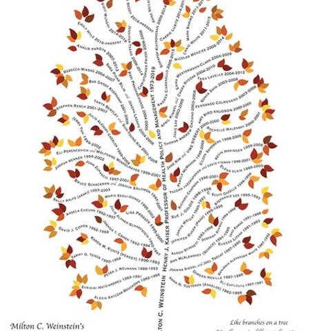 ‘Mentoring tree’ showing members of Harvard Chan’s health decision science community