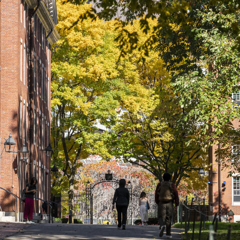 Harvard Yard in fall
