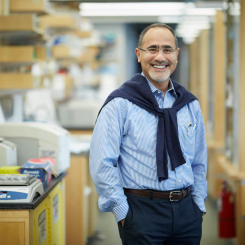 Gökhan Hotamisligil is a professor of genetics and metabolism at the Harvard T.H. Chan School of Public Health. 