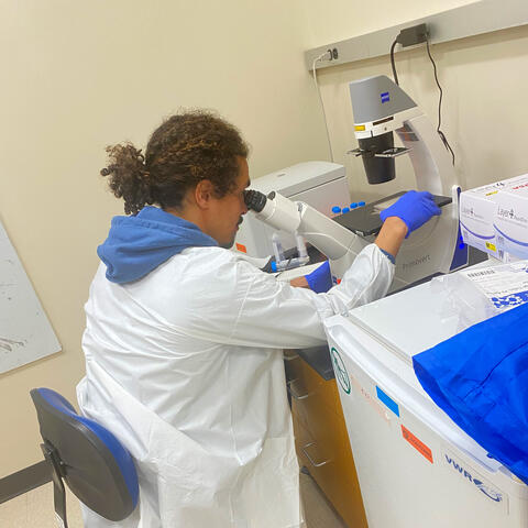 Gabriel quantifying virus using our microscope