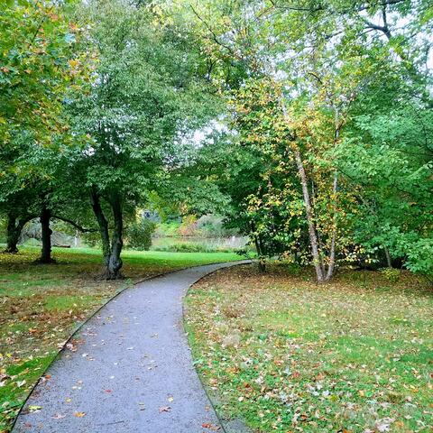 path leading to Hall's Pond