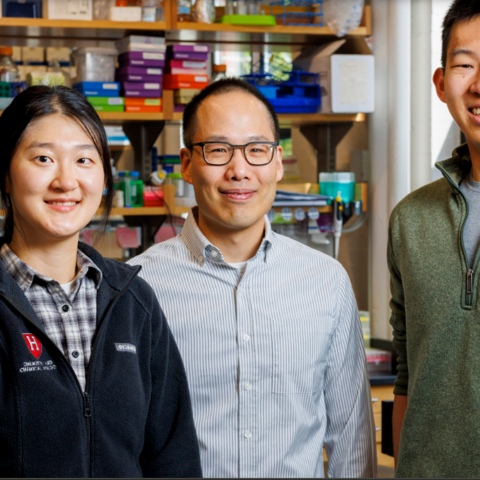 Heejin Roh (left), Brian Liau, and Simon Shen