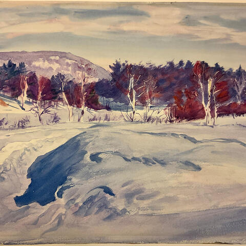 winter landscape scene, with snowy foreground and trees in background