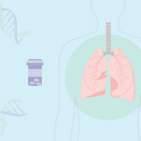 Graphic displaying two DNA strands, a container of white pills, and the outline of a human body with heart and lungs