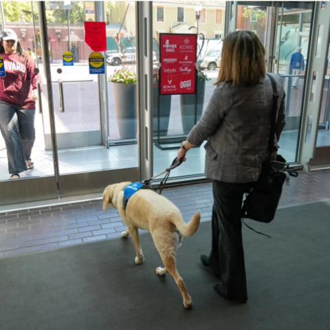 Woman being led through glass doors by a service dog.