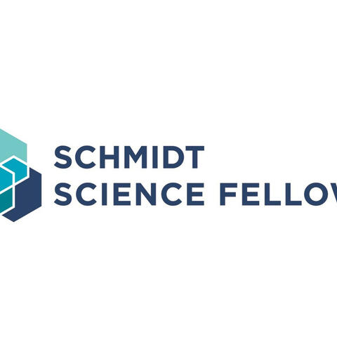 Schmidt Science Fellows logo