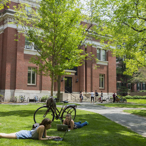 people laying in grass on their computers